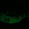 RAGEN MUSIC