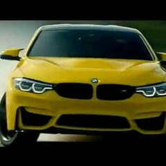 Latvian_BMW.IG