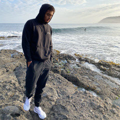 the_black_panther