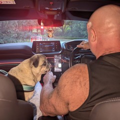 Jon Niche-v.i.p Hatch