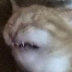 Stinky