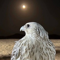 شادن