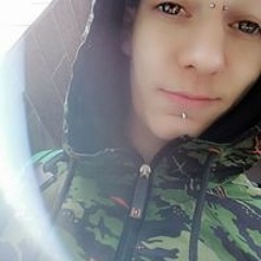 Paraller Statik