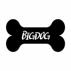 DJ BIGDOG
