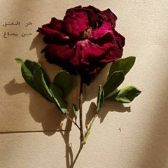 زينب