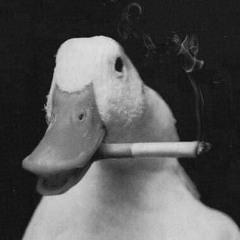 công chúa cần 🚬