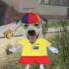 number 1 snoopy fan