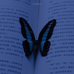 🦋𝓑𝓾𝓽𝓽𝓮𝓻𝓯𝓵𝔂🦋