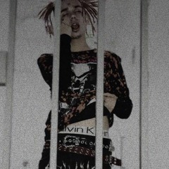 PuNkXXXtrap