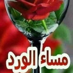 الفهد الدولى