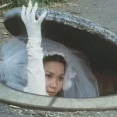 wifį