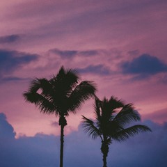 K. Kaya