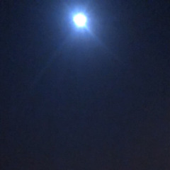 زيزو