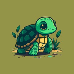 rewyy._🐢