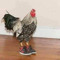 no! springchkn