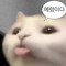 재