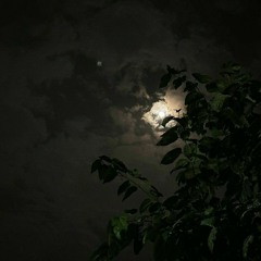 retag_7970