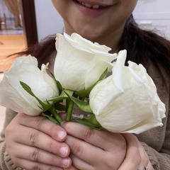 noura.