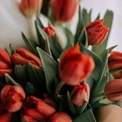 Asmaa Essam