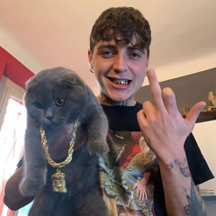 sa🦇