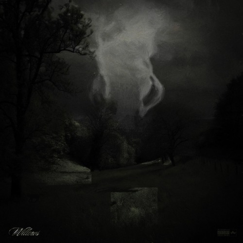 SoundCloud profile picture for @willows