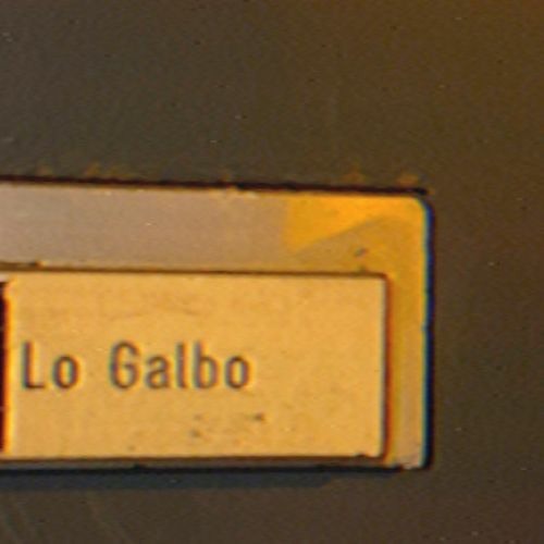 Lo Galbo’s avatar