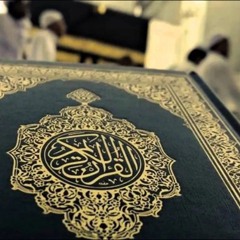 محمد شاهين