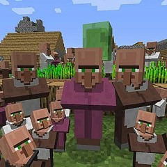 The Villagers