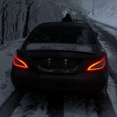 A Garden Of Crimson Roses