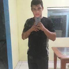 Matheus Andreolli