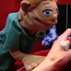 Brooklyn T.Guy124853