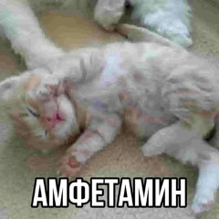 шельк
