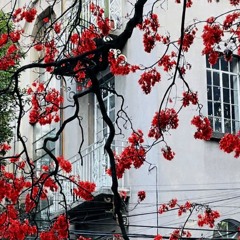 ᴇʟʟᴇʀɴxᴛᴇ