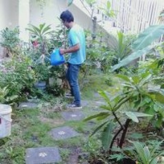 Candra Gubta