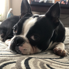 Justin William Husch