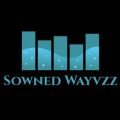 Sowned Wayvzz