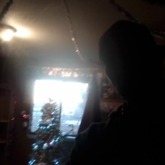 Antonio Carroll Navajo Artist