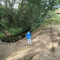niche_9