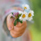 noor