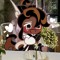 Jinji [ Caramel Arrow Cookies wife trust ]