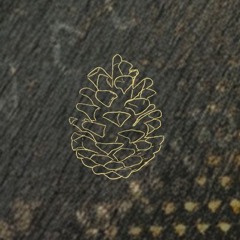 Saisons Musique