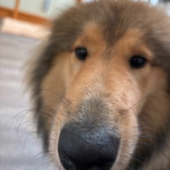 Liquid Drum and Bass - Bass Bounce