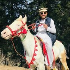 Nadir Khan