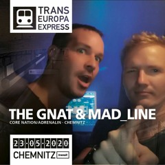 The Gnat & Mad_Line
