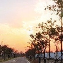 Nootop