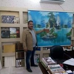 السيد بريكينز