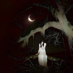 грецкий олег