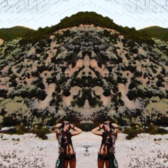 Dimethyltryptamine
