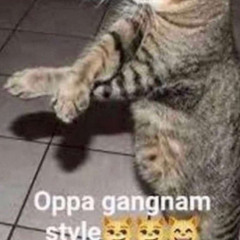 ☠️☠️☠️☠️☠️☠️