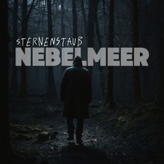 NebelMeer_official